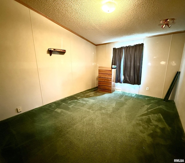 spare room featuring carpet and a textured ceiling