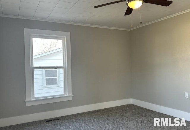 spare room featuring ceiling fan, ornamental molding, and carpet