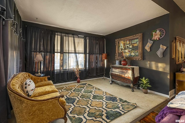 living area with a textured ceiling and carpet