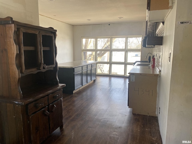 kitchen with dark hardwood / wood-style flooring, sink, and dark brown cabinets