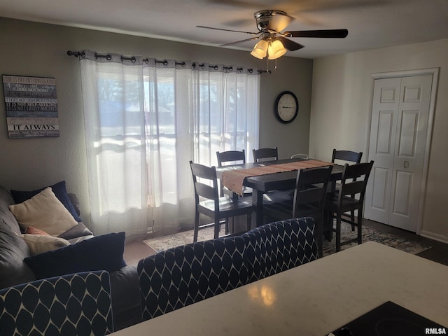 dining area with ceiling fan and a wealth of natural light