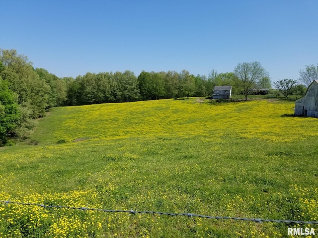 view of yard with a rural view