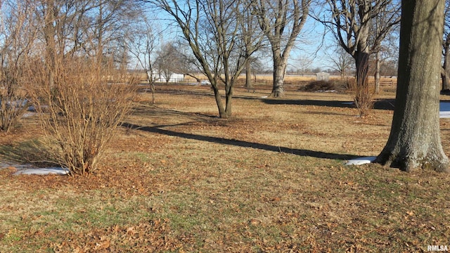 view of yard featuring a rural view