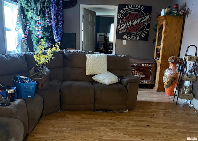 living room featuring wood-type flooring