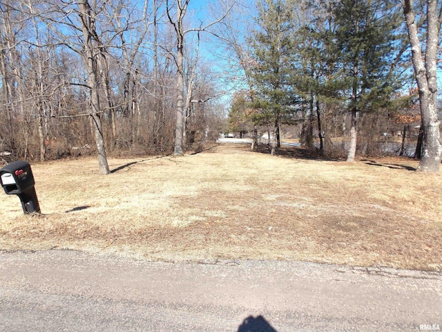 3373 Rainier Ln, Centralia IL, 62801 land for sale