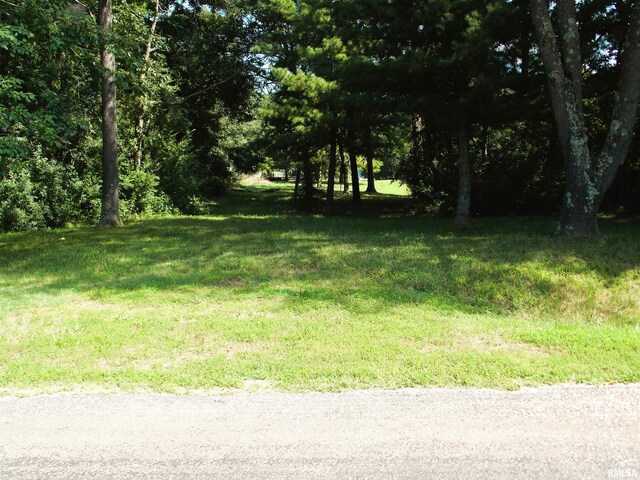 3373 Rainier Ln, Centralia, IL 62801 - photo 1