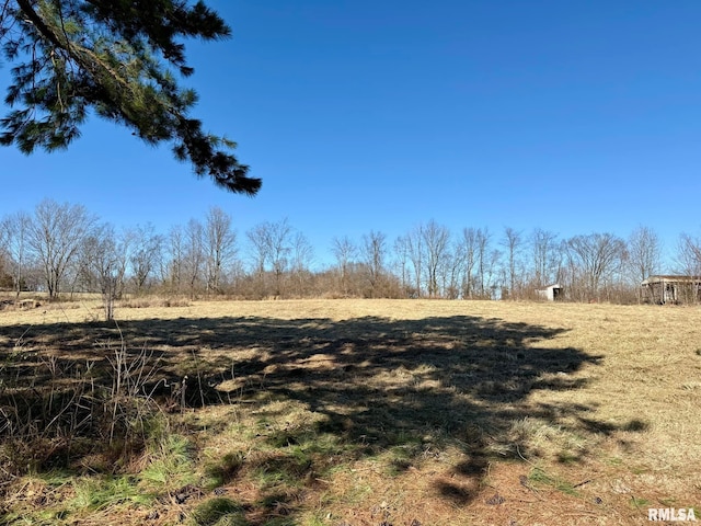 view of yard with a rural view