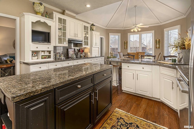 kitchen with dark hardwood / wood-style floors, ornamental molding, a center island, and a healthy amount of sunlight