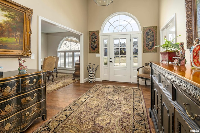 foyer with dark wood-type flooring