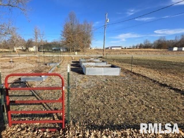 view of yard featuring a rural view