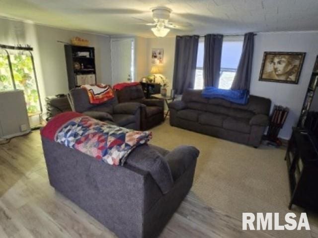 living room with ceiling fan and light wood-type flooring