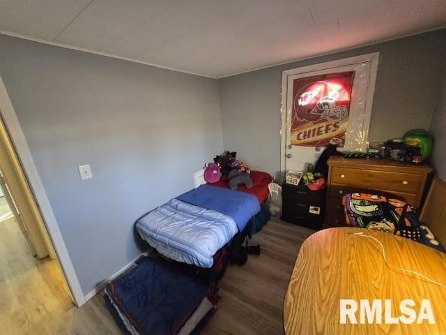 bedroom with hardwood / wood-style flooring