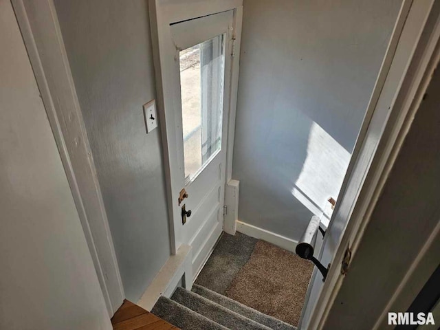 doorway to outside with carpet