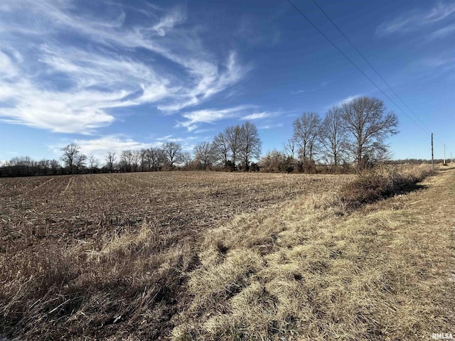 000 W Center Rd, Mulkeytown IL, 62865 land for sale