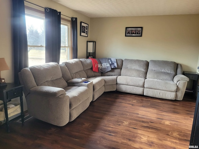 living room featuring dark wood-type flooring and a textured ceiling