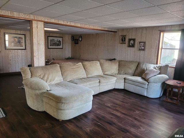 living room featuring dark wood-type flooring, a drop ceiling, and wooden walls