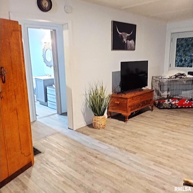 living room featuring light wood-type flooring