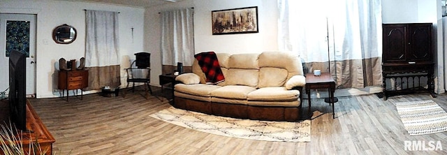 living room featuring wood-type flooring