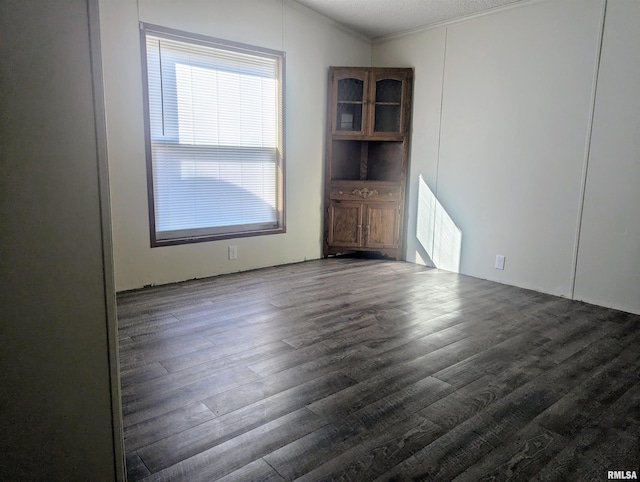 empty room with dark hardwood / wood-style floors