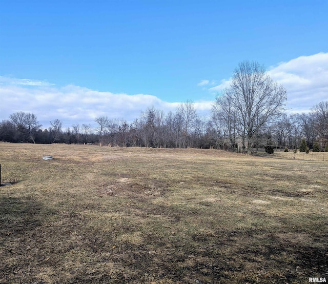 view of yard featuring a rural view