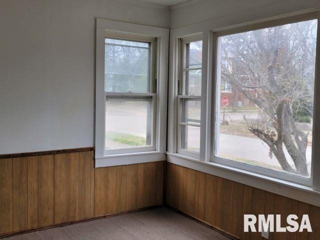 carpeted empty room with wooden walls