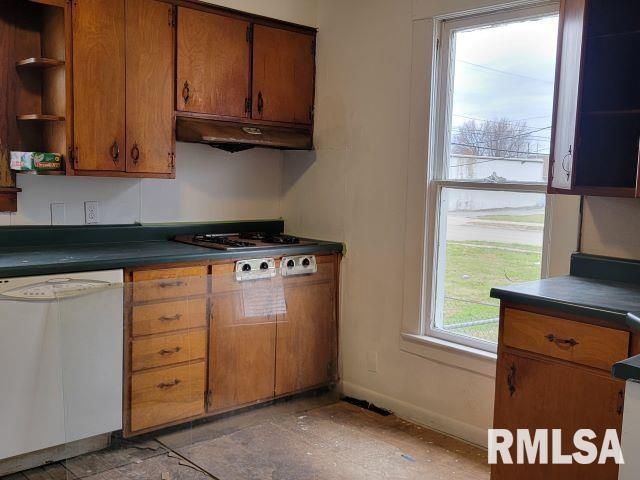 kitchen featuring dishwasher and stainless steel gas cooktop