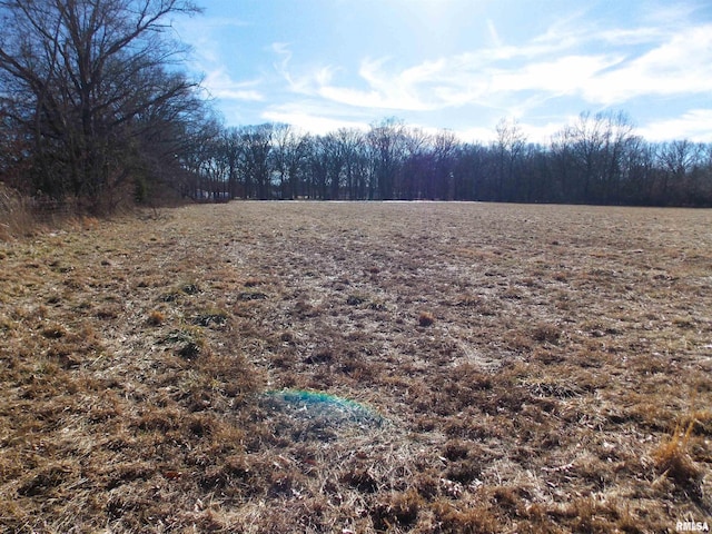 1723 Walnut Hill Rd, Centralia, IL 62801 - view of undeveloped land