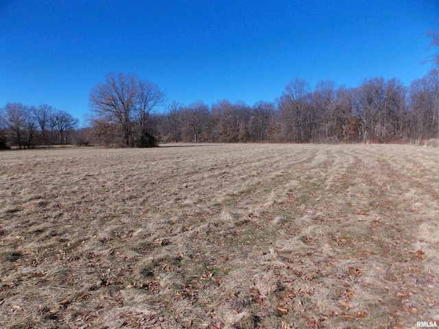1723 Walnut Hill Rd, Centralia, IL 62801 - view of woods