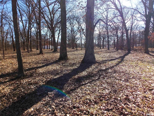 1723 Walnut Hill Rd, Centralia, IL 62801 - view of yard