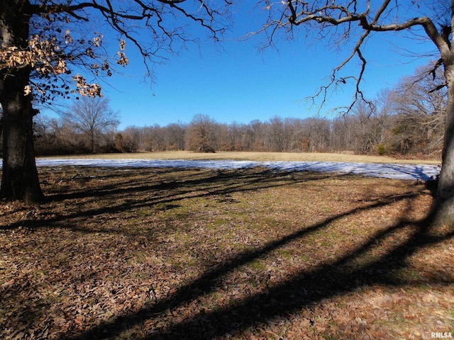 1723 Walnut Hill Rd, Centralia, IL 62801 - view of yard with a forest view