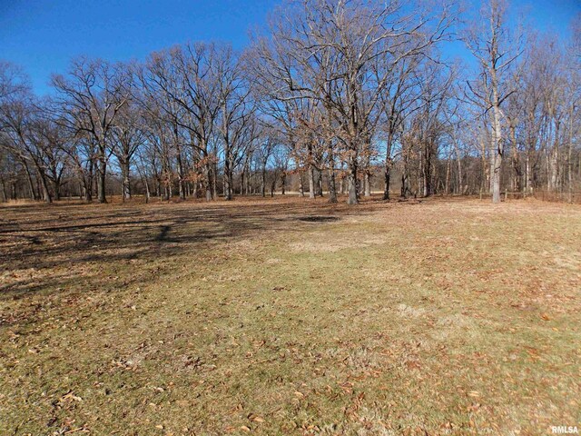 1723 Walnut Hill Rd, Centralia, IL 62801 - view of grassy yard