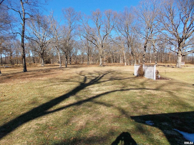 1723 Walnut Hill Rd, Centralia, IL 62801 - view of green lawn