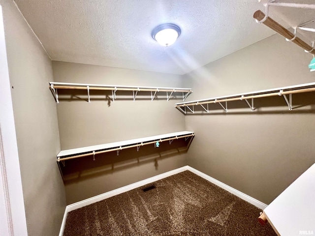 walk in closet with carpet flooring