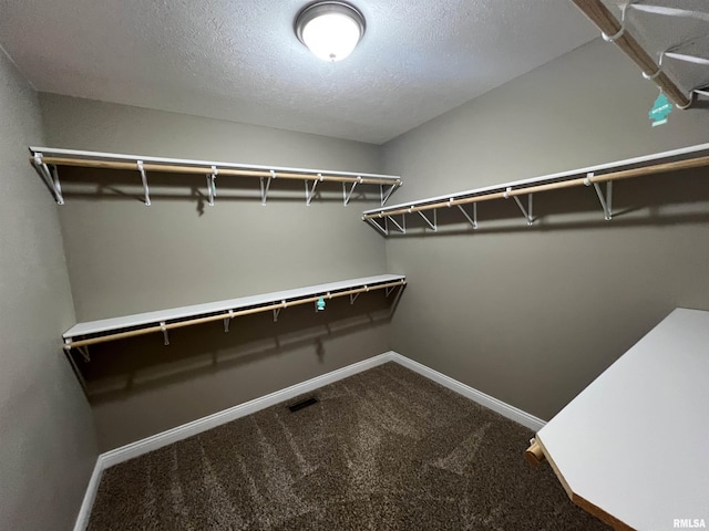 spacious closet featuring carpet flooring