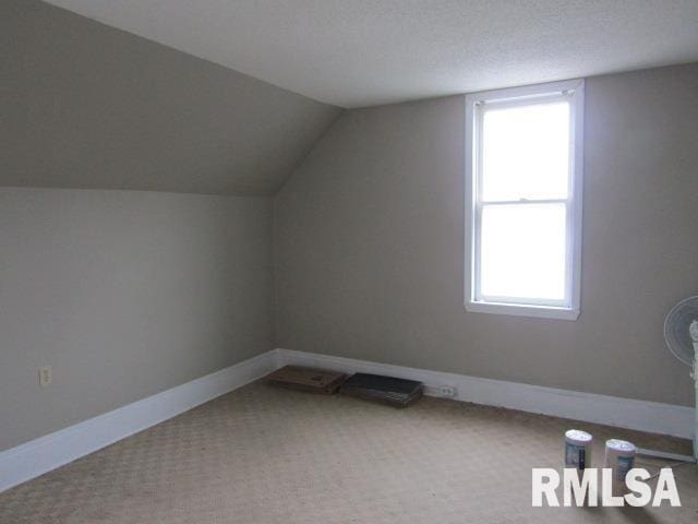 602 4th St, Rosiclare, IL 62982 - bonus room featuring vaulted ceiling and carpet