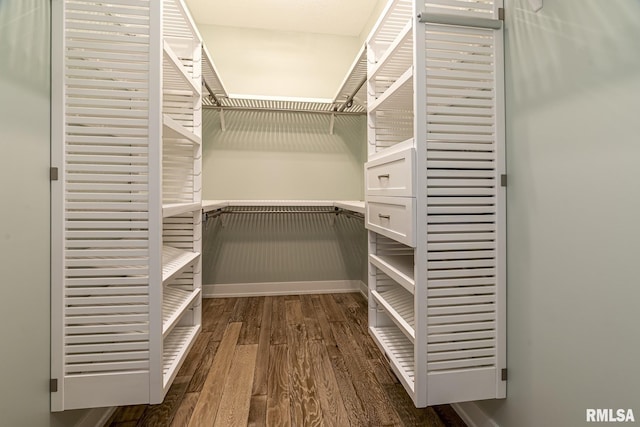 spacious closet with dark hardwood / wood-style flooring