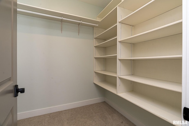 spacious closet with carpet