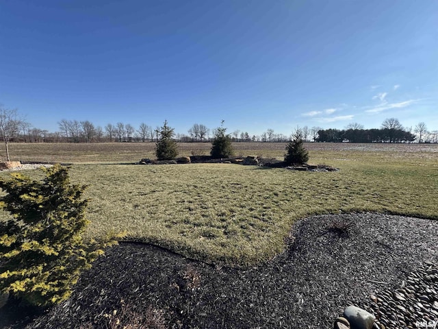 view of yard with a rural view