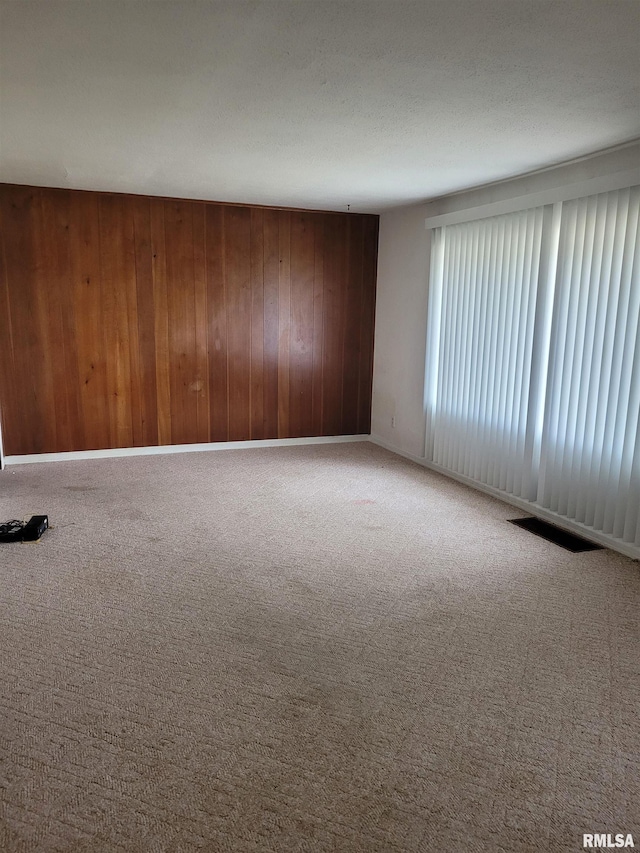 empty room featuring carpet floors and wood walls