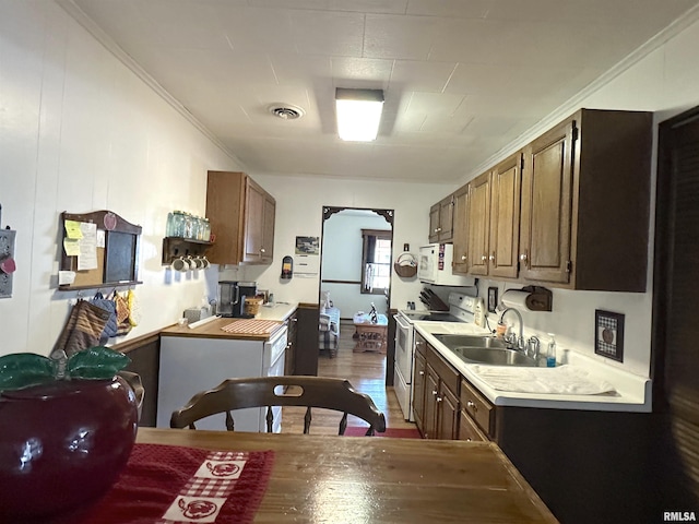 kitchen with white appliances, ornamental molding, sink, and hardwood / wood-style floors