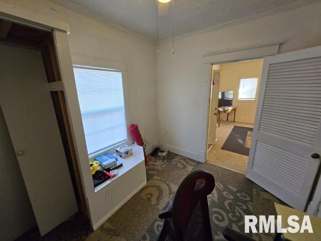 interior space with ornamental molding and carpet flooring