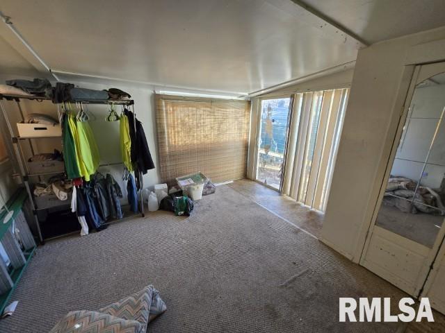 miscellaneous room with carpet flooring