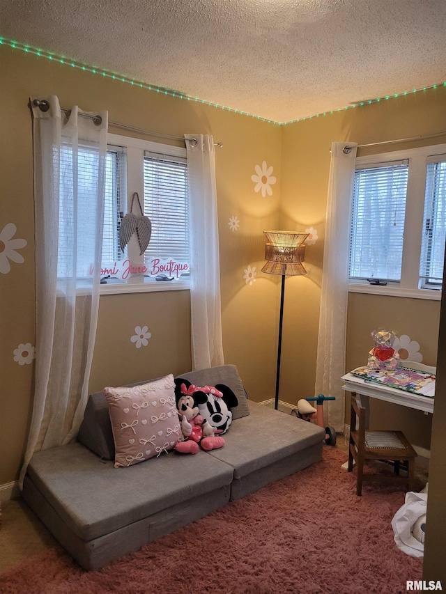 sitting room featuring a textured ceiling and carpet flooring