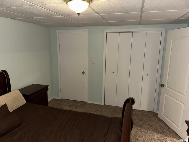 bedroom with carpet floors, a closet, and a drop ceiling