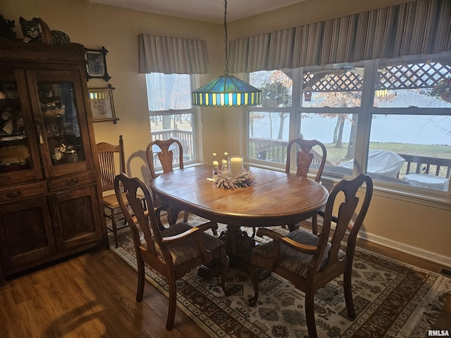 dining area featuring dark hardwood / wood-style flooring