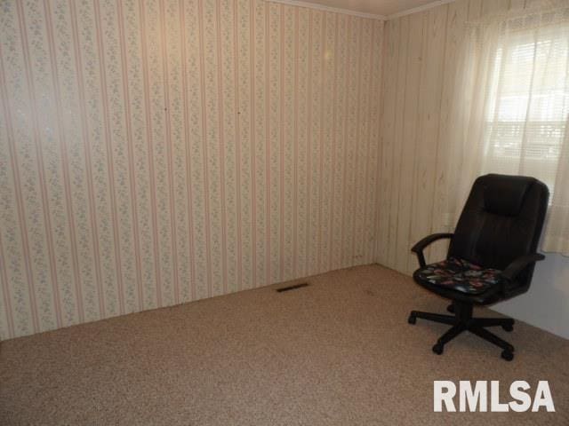 unfurnished room with crown molding and carpet flooring