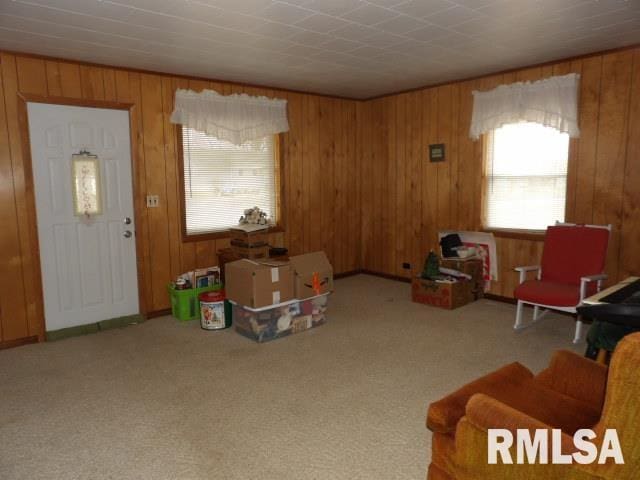 carpeted living room featuring wood walls