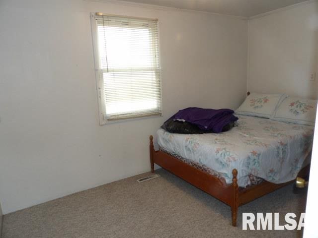 bedroom with carpet floors