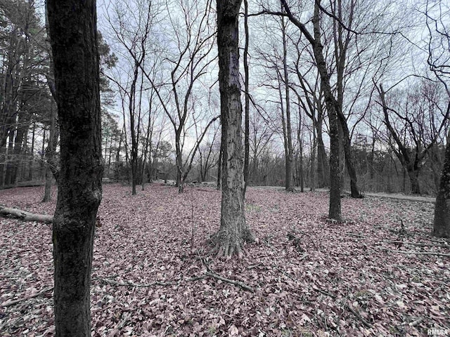 449 Pine Ln, Murphysboro, IL 62966 - photo 5