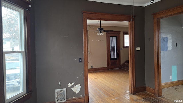 hallway featuring ornamental molding, light hardwood / wood-style floors, and a healthy amount of sunlight